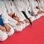 Best Martial Arts software