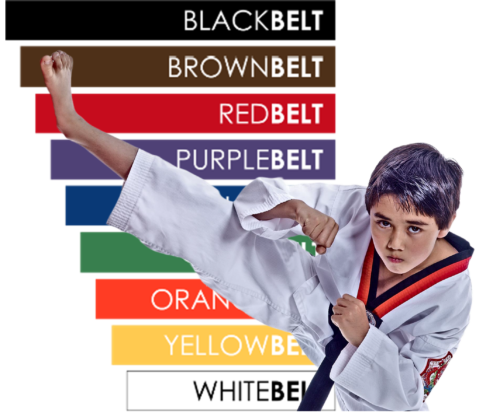 Martial Arts Software by RhinoFit displaying a young martial arts student participating in martial arts doing a front kick.